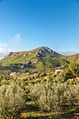  View from the Coll de Sa Gramola into the Serra de Tramuntana mountains, Mallorca, Balearic Islands, Spain 