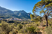 Blick auf das Bergdorf Estellencs, Serra de Tramuntana, Mallorca, Balearen, Spanien