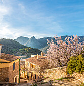 View over the old town of Bunyola to the Serra de Tramuntana mountains, Mallorca, Balearic Islands, Spain 