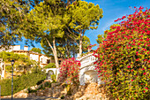 Elegante Villa mit Bougainvillea in Cala Fornells, Mallorca, Balearen, Spanien