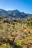 Blick auf das Bergdorf Estellencs, Serra de Tramuntana, Mallorca, Balearen, Spanien