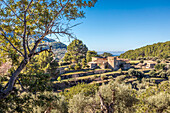 Altes Landgut beim Bergdorf Estellencs, Serra de Tramuntana, Mallorca, Balearen, Spanien