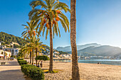  Beach promenade of Port de Soller, Mallorca, Balearic Islands, Spain 
