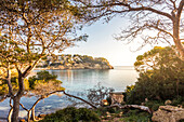  Morning mood at Cala del Mago, Portals Vells, Mallorca, Balearic Islands, Spain 