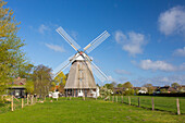 Historische Windmühle Ahrenshoop, Fischland-Darss-Zingst, Mecklenburg-Vorpommern, Deutschland