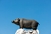 Saha Chat-Denkmal (auch: Pig Monument, Schweinedenkmal) ein Monument am Khlong Lot gegenüber dem Wat Ratchabophit, Bezirk Phra Nakhon, Bangkok, Thailand, Asien