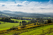  Hilly landscape with vineyards in autumn, Hexental, near Freiburg im Breisgau, Markgräflerland, Black Forest, Baden-Württemberg, Germany 