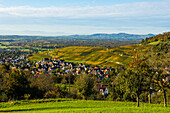 Hilly landscape and village with vineyards in autumn, Ebringen, near Freiburg im Breisgau, Markgräflerland, Black Forest, Baden-Württemberg, Germany 