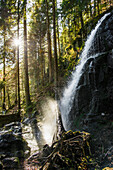  Zweribach Waterfall, Bannwald, near St. Märgen, Black Forest, Baden-Württemberg, Germany 