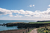 Hochlandklippen bei Dunnotar Castle, Nähe Stonehaven, Aberdeenshire, Schottland, Großbritannien