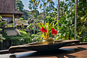 A decorative installation with flowering potted hibiscus plants (Hibiscus × rosa-sinensis) at Hotel Tjampuhan Spa. Ubud, Bali, Indonesia.