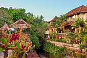 Houses along a narrow alleyway surrounded by lush tropical greenery in Ubud, Bali, Indonesia.