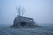  Field barn in Kochelmoos, Schlehdorf, Upper Bavaria, Bavaria, Germany 