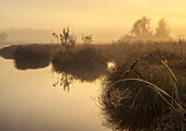  Sunrise at a pond in the Oberland, Bavaria, Germany 