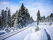  Brocken Railway line on the Goetheweg, Brocken, Harz, National Park, Schierke, Wernigerode, winter, frost, ice, Harz district, Saxony-Anhalt, Eastern Germany, Central Germany, Germany, Europe 