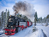  The Brocken Railway on the Goetheweg, Brocken, Harz, National Park, Schierke, Wernigerode, Harz District, Saxony-Anhalt, Eastern Germany, Central Germany, Germany, Europe 