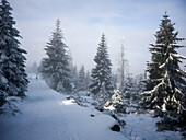  The Goethe Trail between Torfhaus and the Brocken summit, Brocken, Harz, National Park, Schierke, Wernigerode, winter, frost, ice, Harz district, Saxony-Anhalt, Eastern Germany, Central Germany, Germany, Europe 