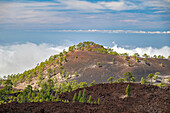 Blick über die Lavafelder in Richtung Westen, im Teide Nationalpark Parque Nacional del Teide, Teneriffa, Spanien