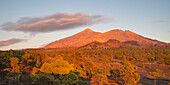 Sonnenuntergang am Teide, Westgrenze Teide Nationalpark Parque Nacional del Teide, Teneriffa, Spanien
