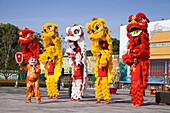 Vietnam, Hue, Citadel, Imperial City, Tet, Lunar New Year, celebration