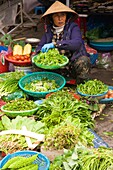 Vietnam, Hoi An, market, produce, fruit, people
