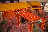 Malaysia, Kuala Lumpur, Suria KLCC Einkaufen, chinesische Neujahrsdekoration