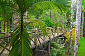 Malaysia, Sabah, Sepilok, Jungle Resort