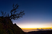 Am Aufstieg zum Gipfel Pico Ruivo bei Sonnenaufgang, bei Santana, Nordküste, Madeira, Portugal