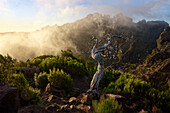  At Pico Ruivo do Santana, Madeira, Portugal 