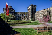  Andernach Castle with garden and flag, Andernach, Middle Rhine, Rhineland-Palatinate, Germany 