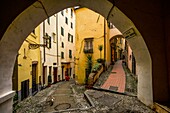  La Pigna, old town of Sanremo, view through an archway, Sanremo, Liguria, Italy 