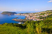 Portugal, Azores, Faial Island, Horta, skyline, general view, 