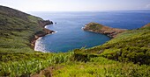 Portugal, Azores, Faial Island, Caldeira do Inferno, volcanic crater, 