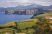 Portugal, Azores, Sao Miguel Island, Santo Antonio, landscape, 
