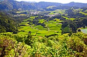 Portugal, Azores, Sao Miguel Island, Vale das Furnas, valley, 