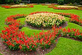 Portugal, Azores, Sao Miguel Island, Furnas, Terra Nostra Park, 