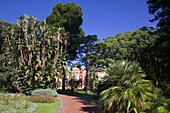Portugal, Azores, Sao Miguel Island, Ponta Delgada, Palace of Sant'Ana, garden, 
