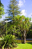 Portugal, Azoren, Insel Sao Miguel, Ponta Delgada, Palast von Sant'Ana, Garten,