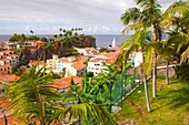Portugal, Madeira, Camara de Lobos, fishing village, 