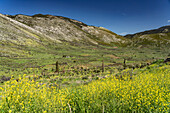 Landschaft am Kloster Hosios Lukas in Steiri, bei Distomo, Mittelgriechenland, Griechenland