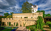 Kurfürstliche Burg mit Garten, Wehrgang und Wohnturm im Abendlicht, Eltville, Rheingau, Hessen, Deutschland