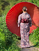 Westliche Dame trägt einen Kimono in Kiyamachi-dori, Kyoto, Japan