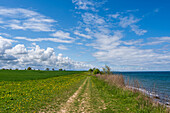  View of the Baltic Sea and landscape of the Hohwacht Bay, East Holstein, Schleswig-Holstein, Germany 