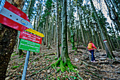 Wegweiser für Wanderwege mit Frau beim Wandern im Hintergrund, Schober, Salzkammergut, Salzburg, Österreich