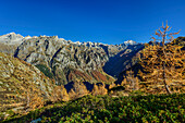  Autumn mood at the Bocchetta di Medaccio, Monte Disgrazia in the background, Bergell, Bernina Range, Lombardy, Italy 