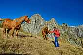 Frau beim Wandern streichelt Pferde, Bocchetta di Medaccio, Bergell, Berninagruppe, Lombardei, Italien