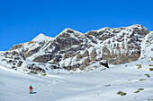 Frau auf Skitour steigt zum Passo di Campagneda auf, Berninaalpen im Hintergrund, Berninagruppe, Lombardei, Italien