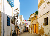  Alley with colored window grilles and wooden portal in the Medina in Tunis, Tunisia 