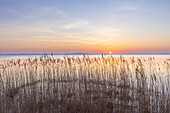Blick auf das Achterwasser am Abend, Lieper Winkel, Insel Usedom, Ostsee, Mecklenburg-Vorpommern, Deutschland