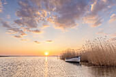 Ruderboot im Schilf bei Sonnenuntergang, bei Warthe, Lieper Winkel, Insel Usedom, Ostsee, Mecklenburg-Vorpommern, Deutschland